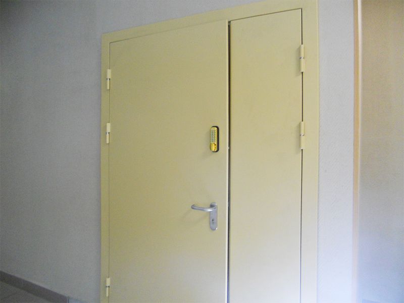 Входная дверь с покрытием из нитроэмали